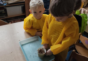 Dzieci łączą ziarna za pomocą smalca przygotowując "pączki dla ptaków"