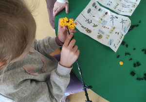 Dziewczynka składa kwiatka z klocków LEGO.