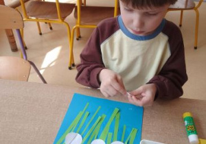 Chłopiec przykleja płatki przebiśniegów