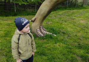 Chłopiec stoi obok dinozaura.