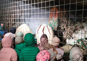 dzieci oglądają wykluwanie dinozaura