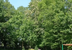 Widok ogrodu od strony budynku przedszkola