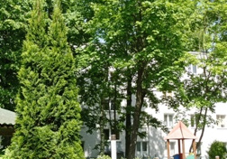 Widok na drzewa liściaste rosnące w ogrodzie